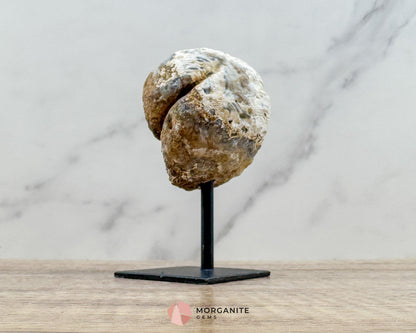 Moon Sliced Geode on Metal Stand – Polished Natural Crystal Display - Metaphysical Crystals