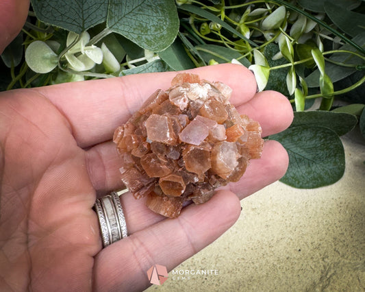 Moroccan Aragonite Star Specimen – 82 g Brighter Star Cluster - Metaphysical Crystals