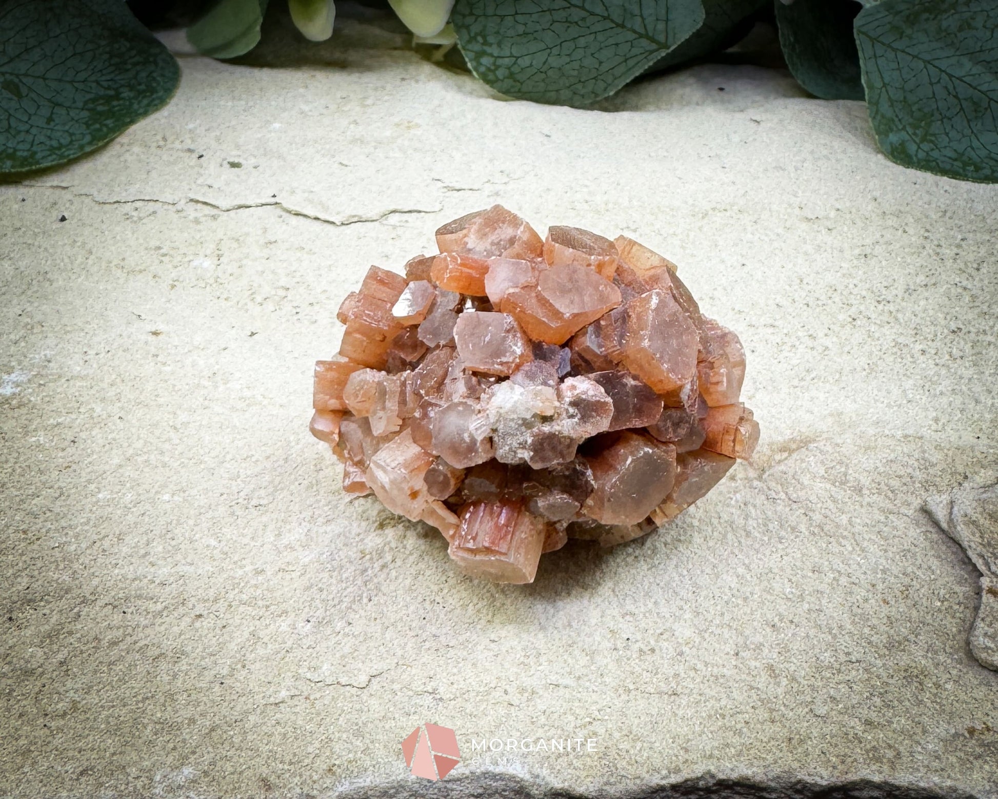 Moroccan Aragonite Star Specimen – 82 g Brighter Star Cluster - Metaphysical Crystals