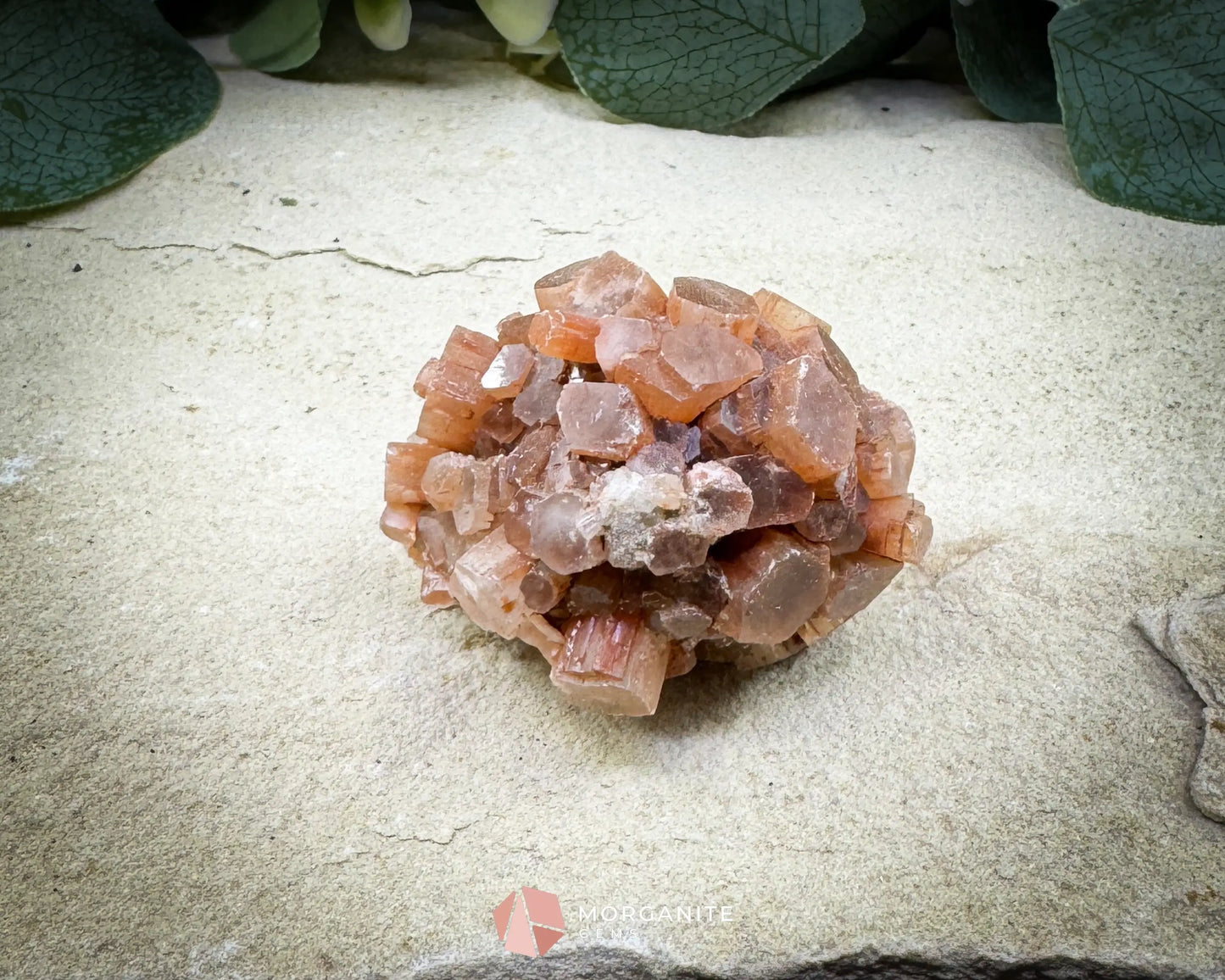 Moroccan Aragonite Star Specimen – 82 g Brighter Star Cluster - Metaphysical Crystals