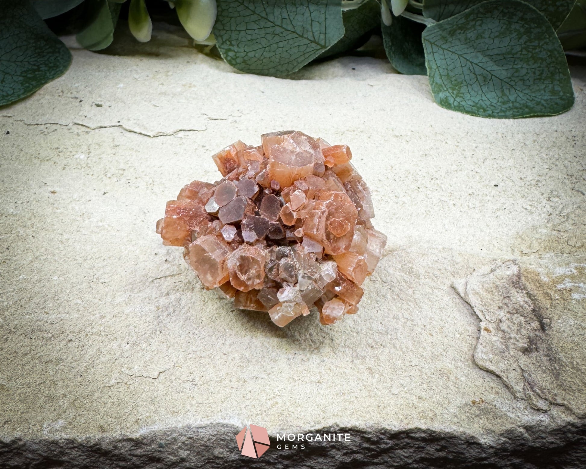 Moroccan Aragonite Star Specimen – 82 g Brighter Star Cluster - Metaphysical Crystals