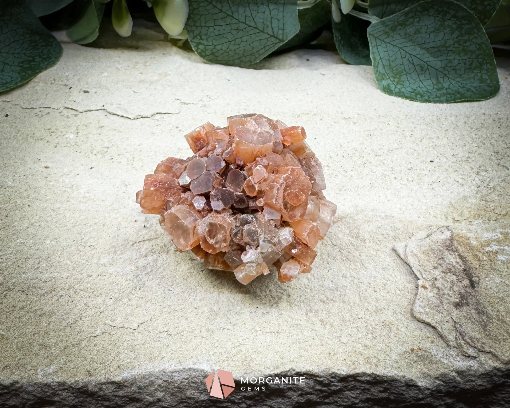 Moroccan Aragonite Star Specimen – 82 g Brighter Star Cluster - Metaphysical Crystals