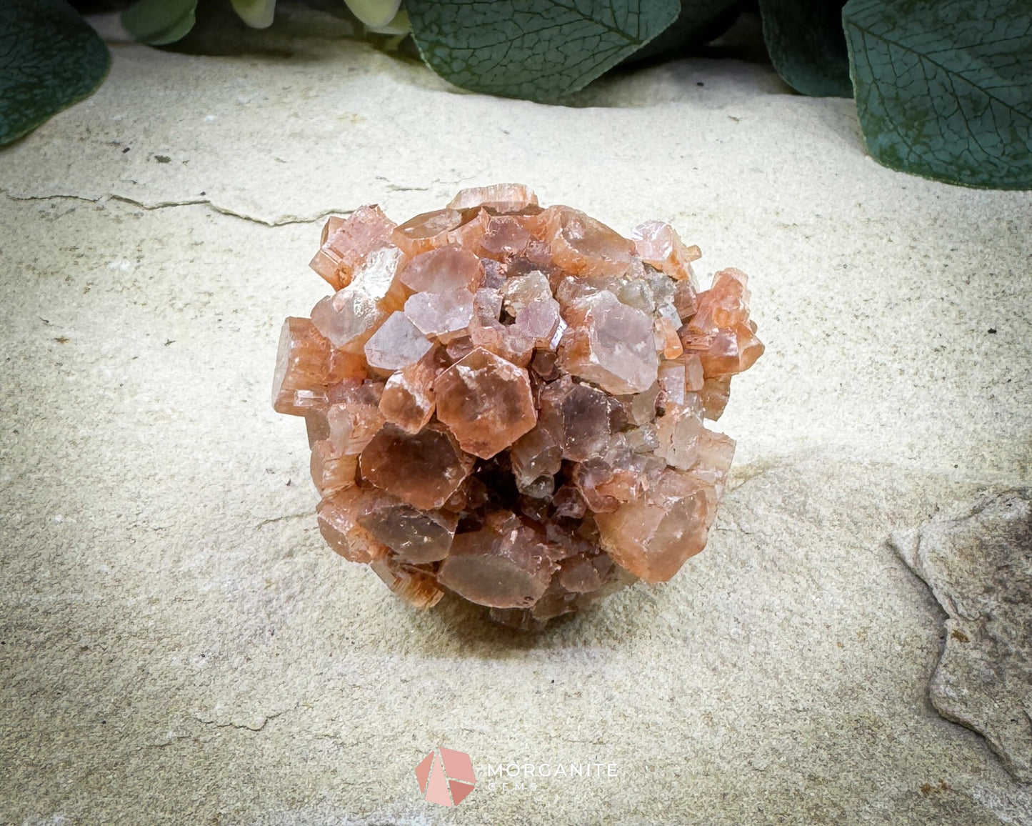 Moroccan Aragonite Star Specimen – 82 g Brighter Star Cluster - Metaphysical Crystals