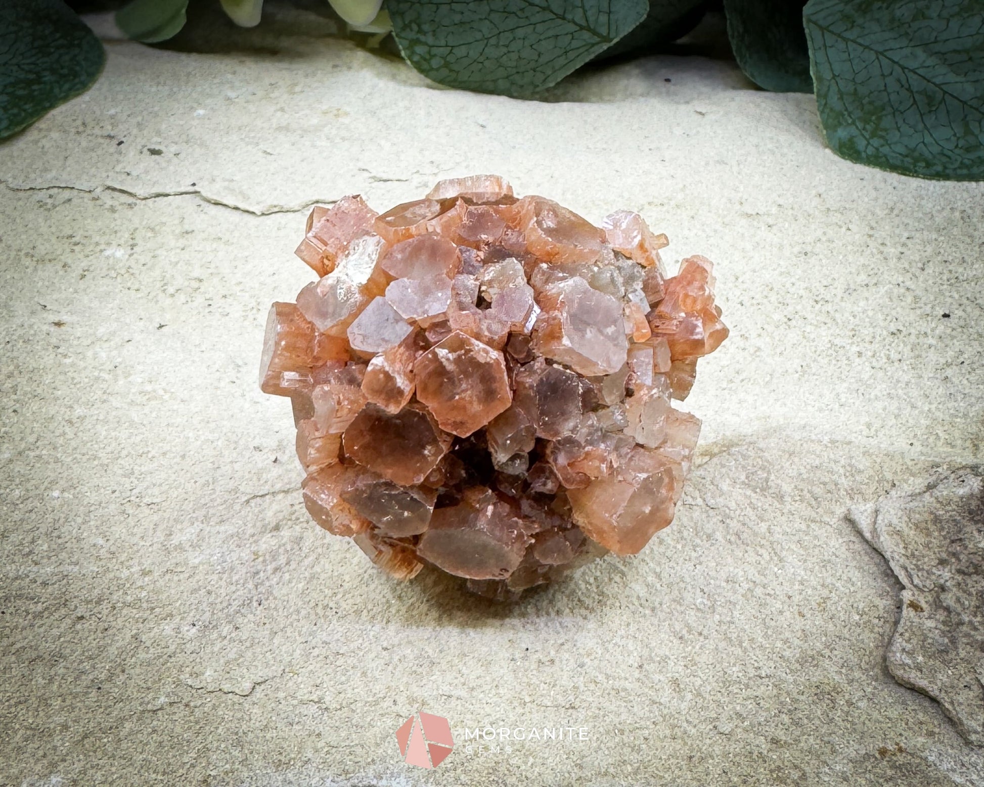 Moroccan Aragonite Star Specimen – 82 g Brighter Star Cluster - Metaphysical Crystals