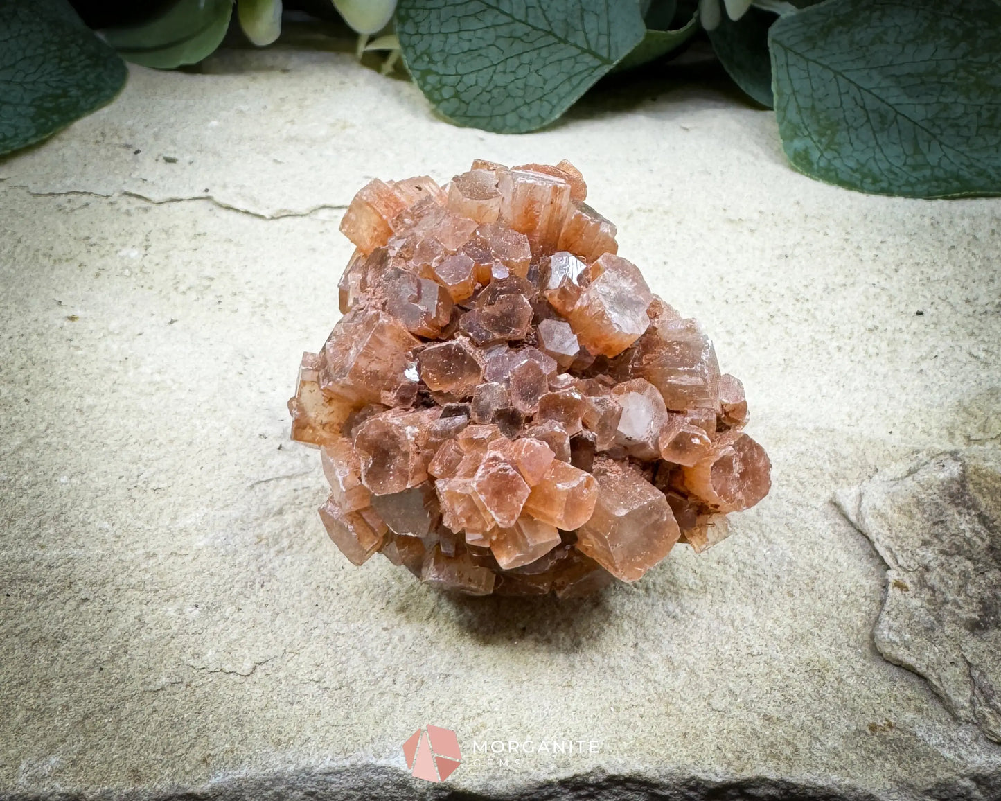 Moroccan Aragonite Star Specimen – 98 g Large Star Cluster - Metaphysical Crystals