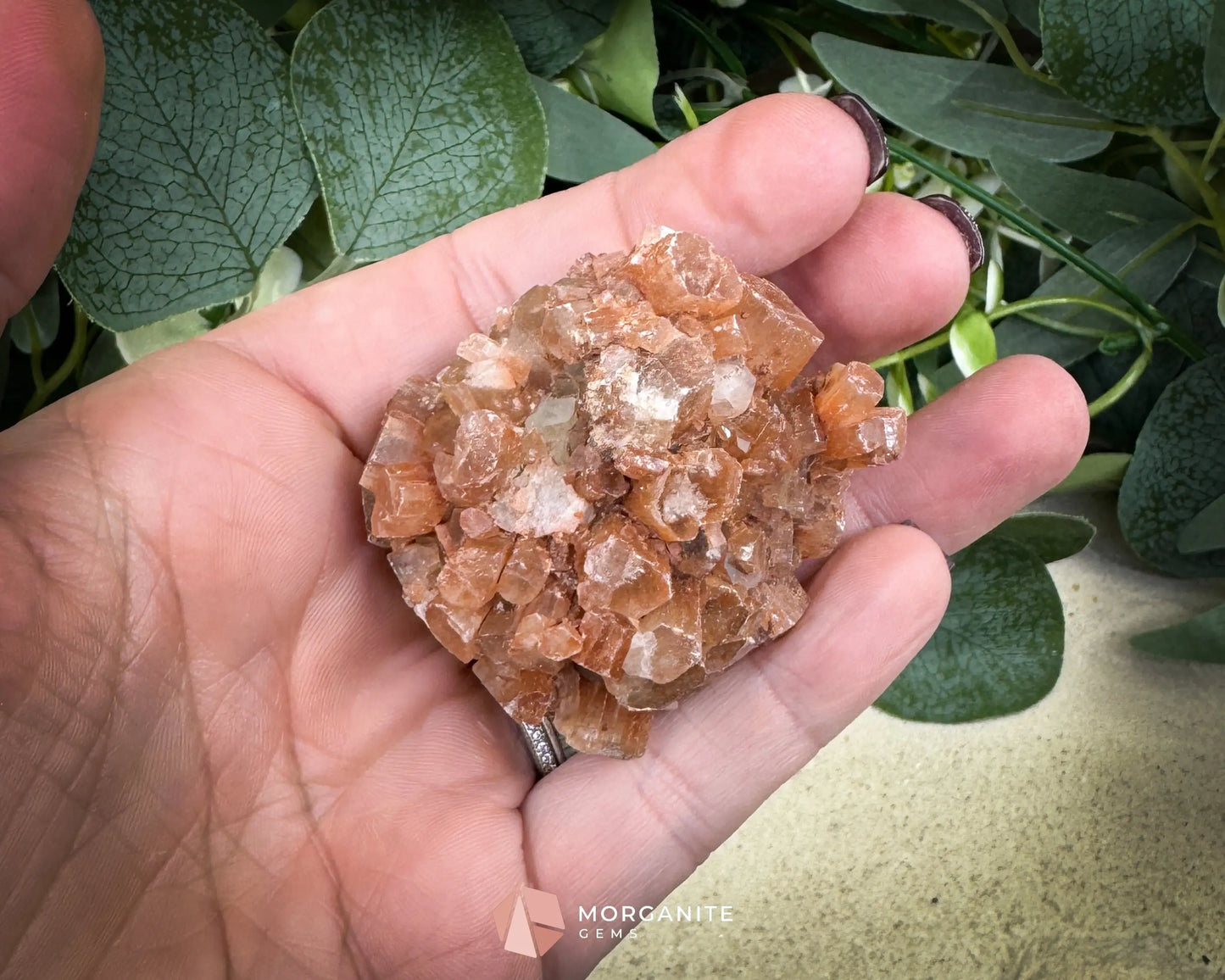 Moroccan Aragonite Star Specimen – 98 g Large Star Cluster - Metaphysical Crystals