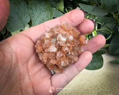 Moroccan Aragonite Star Specimen – 98 g Large Star Cluster - Metaphysical Crystals