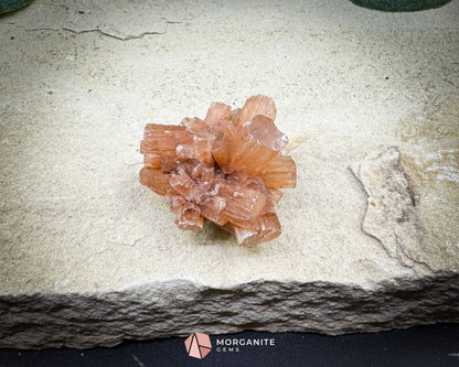 Moroccan Aragonite Starburst Specimen – 44 g Petite Star Cluster - Metaphysical Crystals