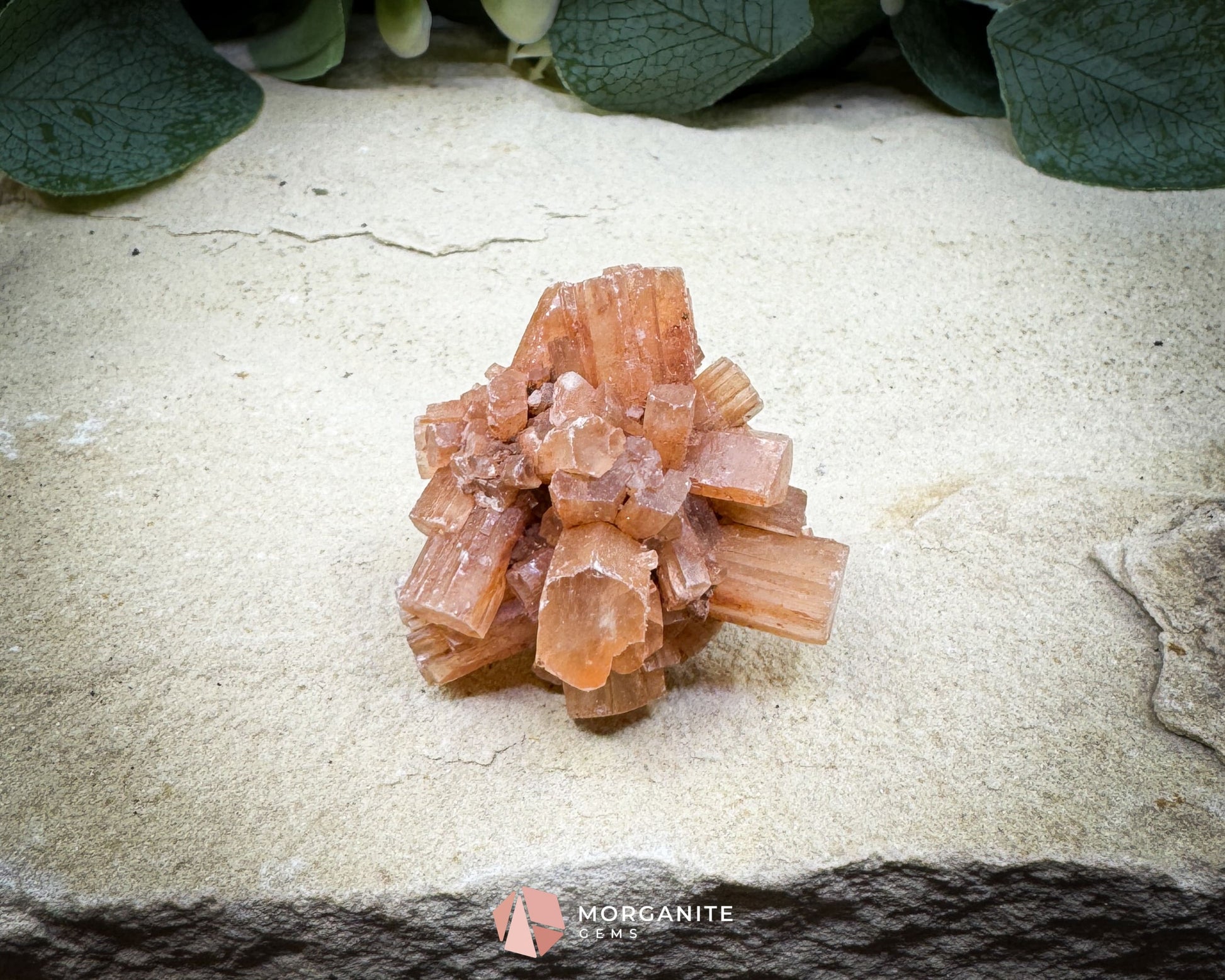 Moroccan Aragonite Starburst Specimen – 44 g Petite Star Cluster - Metaphysical Crystals