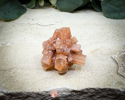 Moroccan Aragonite Starburst Specimen – 44 g Petite Star Cluster - Metaphysical Crystals