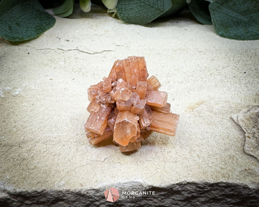 Moroccan Aragonite Starburst Specimen – 44 g Petite Star Cluster - Metaphysical Crystals
