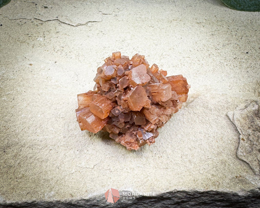 Moroccan Aragonite Starburst Specimen – 66 g Radiant Star Cluster - Metaphysical Crystals