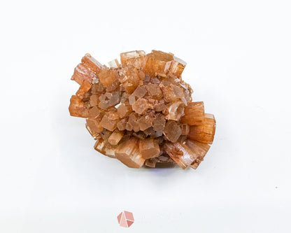 Moroccan Aragonite Starburst Specimen – 66 g Radiant Star Cluster - Metaphysical Crystals