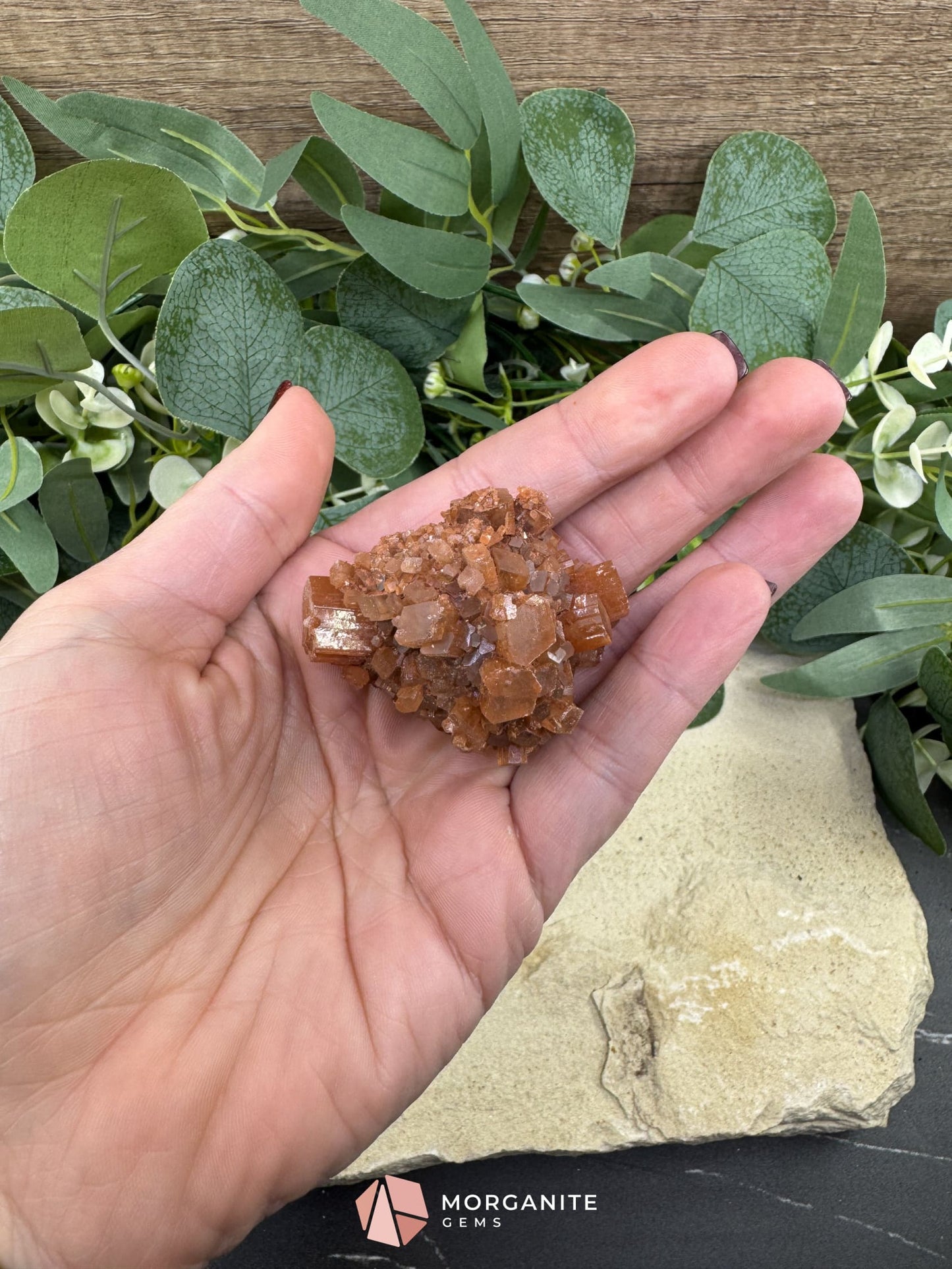 Moroccan Aragonite Starburst Specimen – 66 g Radiant Star Cluster - Metaphysical Crystals