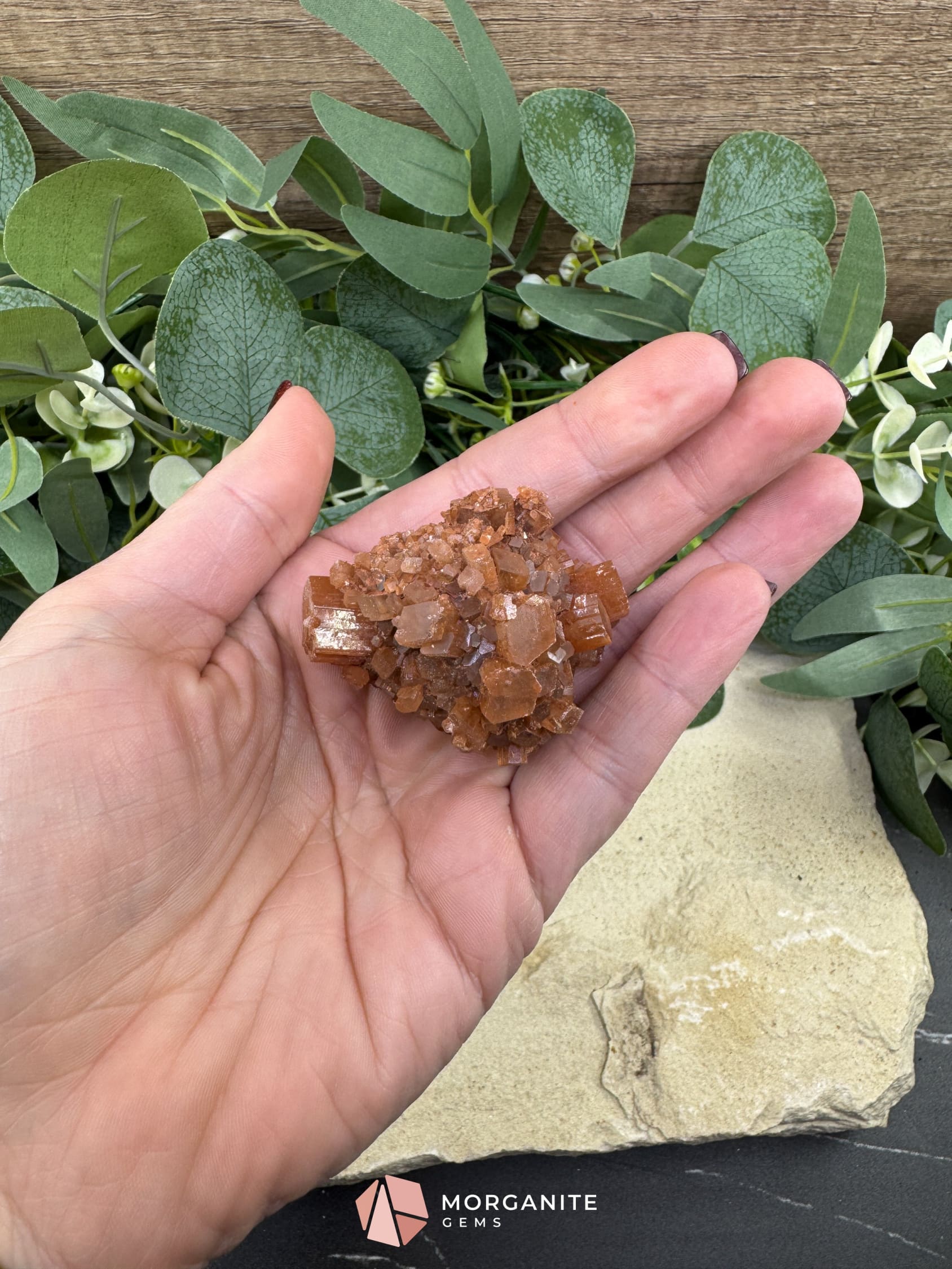 Moroccan Aragonite Starburst Specimen – 66 g Radiant Star Cluster - Metaphysical Crystals