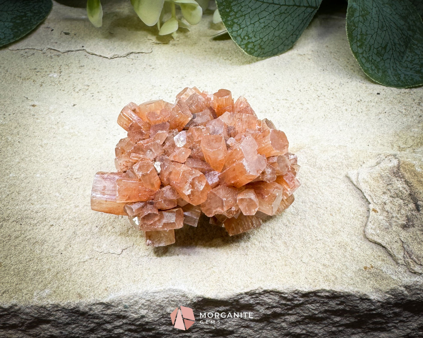 Moroccan Aragonite Starburst Specimen – 68 g Radiant Cluster (2″ × 1.8″ × 1″) - Metaphysical Crystals