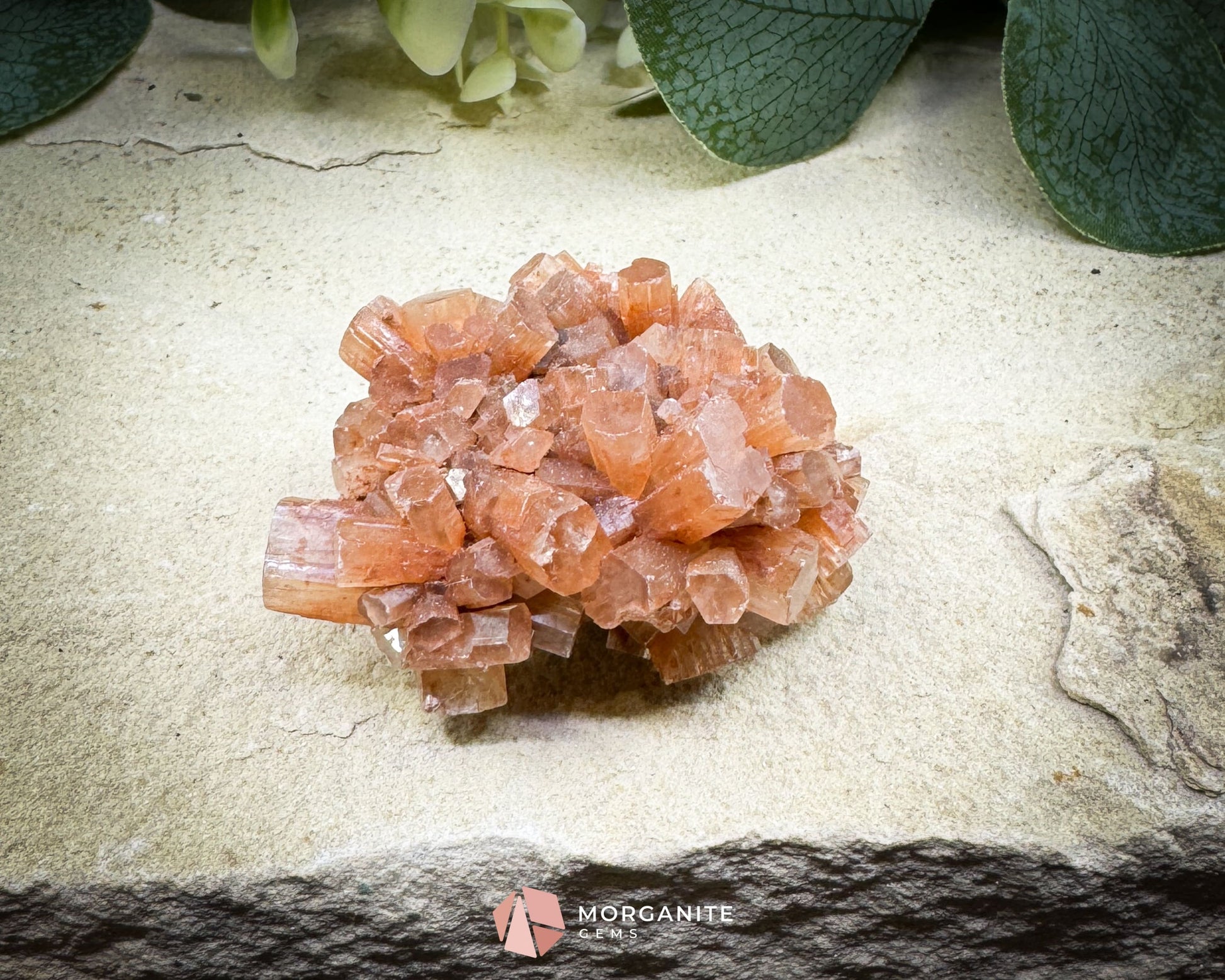 Moroccan Aragonite Starburst Specimen – 68 g Radiant Cluster (2″ × 1.8″ × 1″) - Metaphysical Crystals
