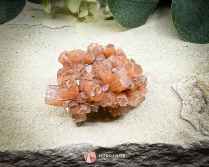 Moroccan Aragonite Starburst Specimen – 68 g Radiant Cluster (2″ × 1.8″ × 1″) - Metaphysical Crystals