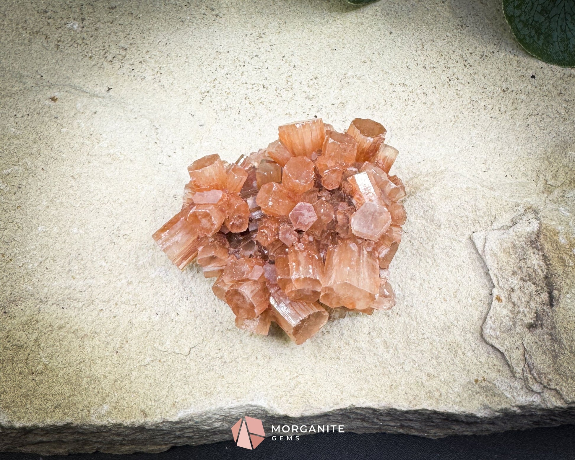 Moroccan Aragonite Starburst Specimen – 68 g Radiant Cluster (2″ × 1.8″ × 1″) - Metaphysical Crystals