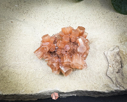Moroccan Aragonite Starburst Specimen – 68 g Radiant Cluster (2″ × 1.8″ × 1″) - Metaphysical Crystals