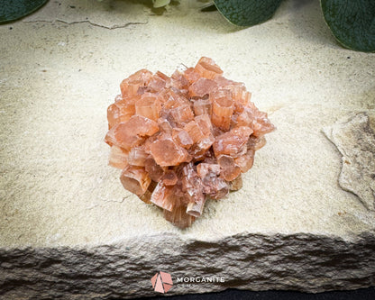Moroccan Aragonite Starburst Specimen – 68 g Radiant Cluster (2″ × 1.8″ × 1″) - Metaphysical Crystals