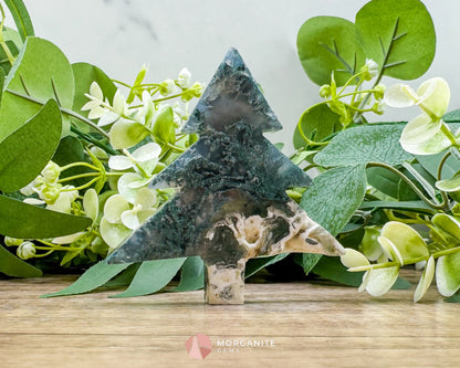 Moss Agate Tree Carving No. 5 | Self-Standing Crystal for Grounding Nature Connection & Healing - Metaphysical Crystals
