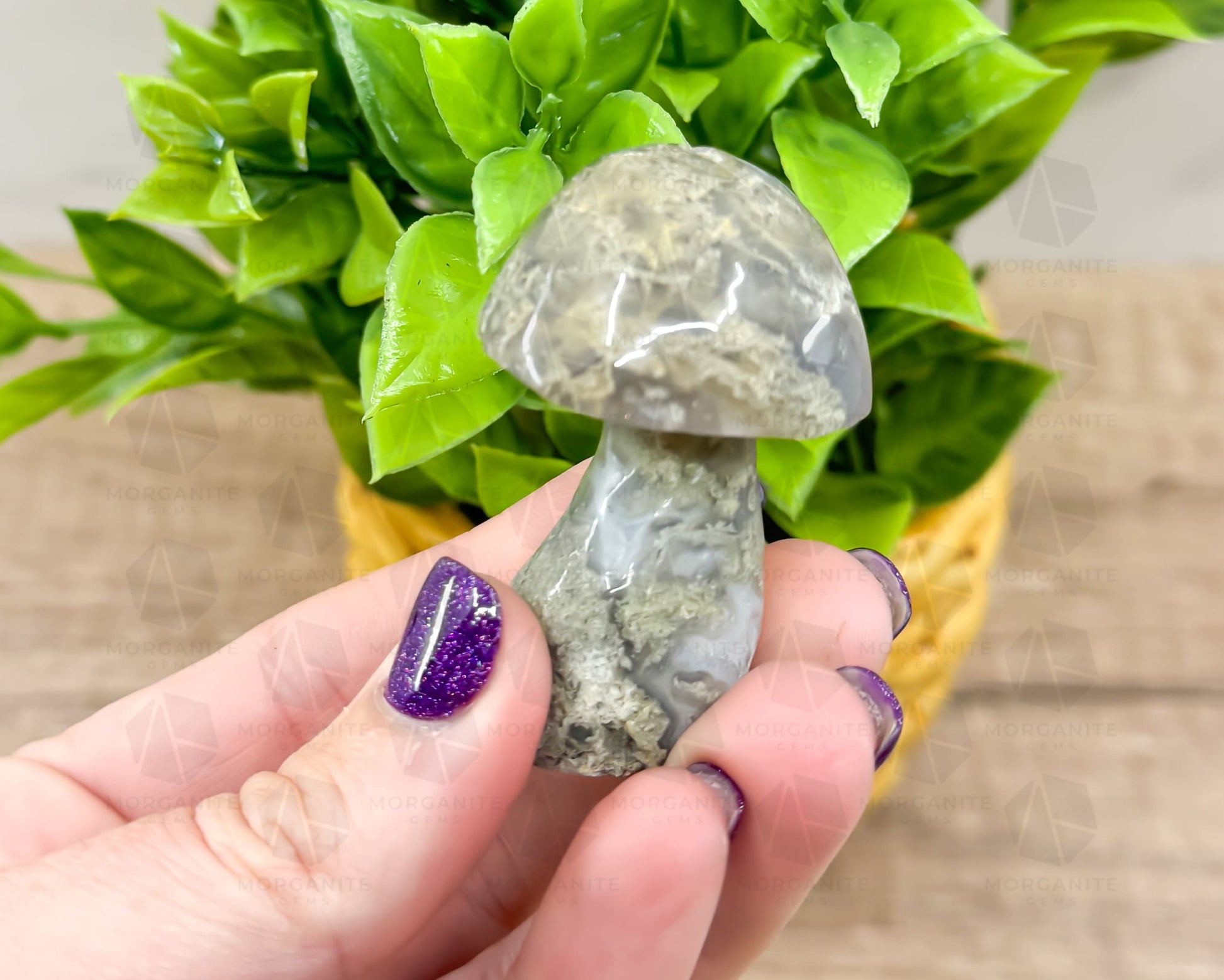 Moss Agate Mushroom Carving – Symbol of Growth and Grounding-Morganite Gems