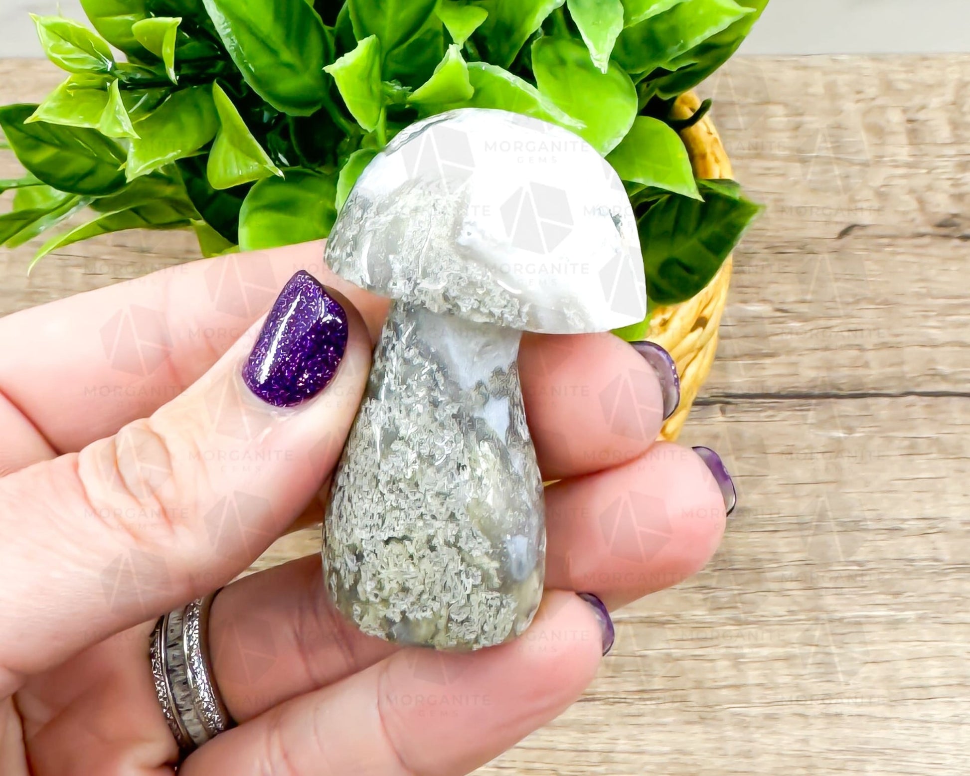 Moss Agate Mushroom Carving – Symbol of Growth and Grounding-Morganite Gems