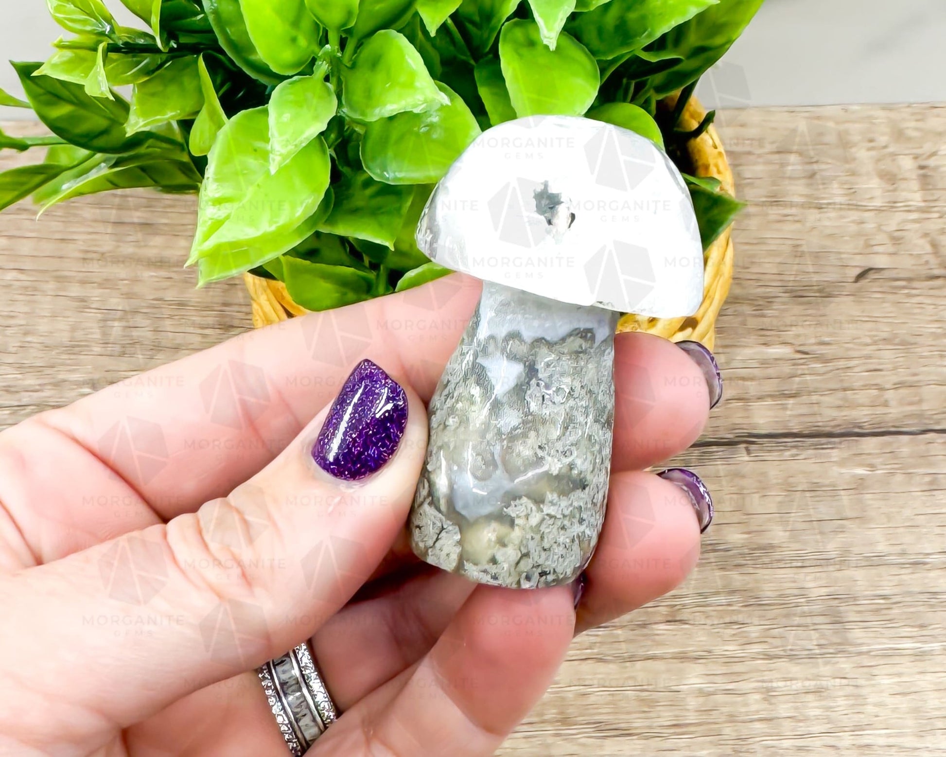 Moss Agate Mushroom Carving – Symbol of Growth and Grounding-Morganite Gems