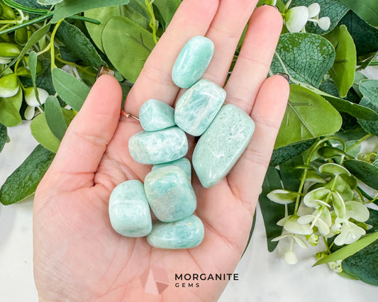 Natural Amazonite Tumbled Stones - Small 15-30mm Polished Crystals - Bulk Green Amazonite for Grids & Crafting - 1 lb