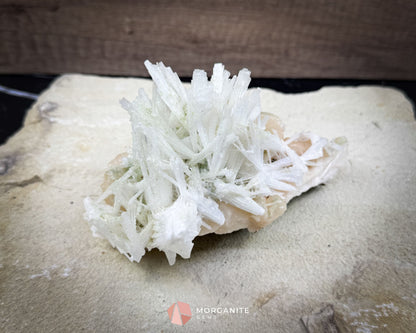 Natural Scolecite Spray on Orange Stilbite – Zeolite Crystal Cluster for Healing Meditation & Decor - Metaphysical