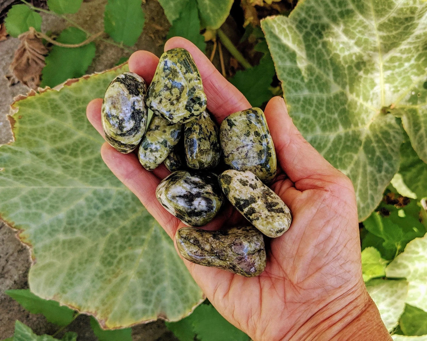 Nephrite Jade Tumbled Stone-Morganite Gems