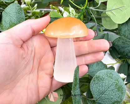 Orange and White Selenite Mushroom (5oz) – 2.9’’ Two-Tone Satin Spar Carving for Sacral & Crown Chakra Balance