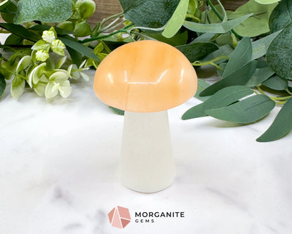 Orange and White Selenite Mushroom (5oz) – 2.9’’ Two-Tone Satin Spar Carving for Sacral & Crown Chakra Balance