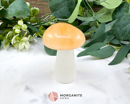 Orange and White Selenite Mushroom (5oz) – 2.9’’ Two-Tone Satin Spar Carving for Sacral & Crown Chakra Balance