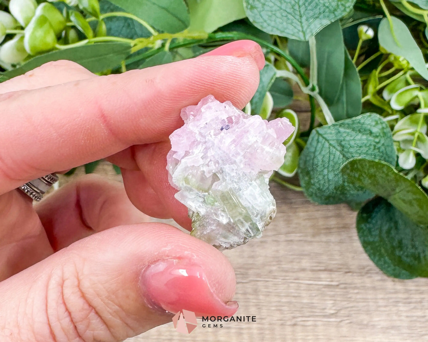 Elbaite Tourmaline – Natural Crystal Specimen in Clear Display Case 2.19g (27×21×11 mm) – Dara‑e‑Pech Kunar Afghanistan