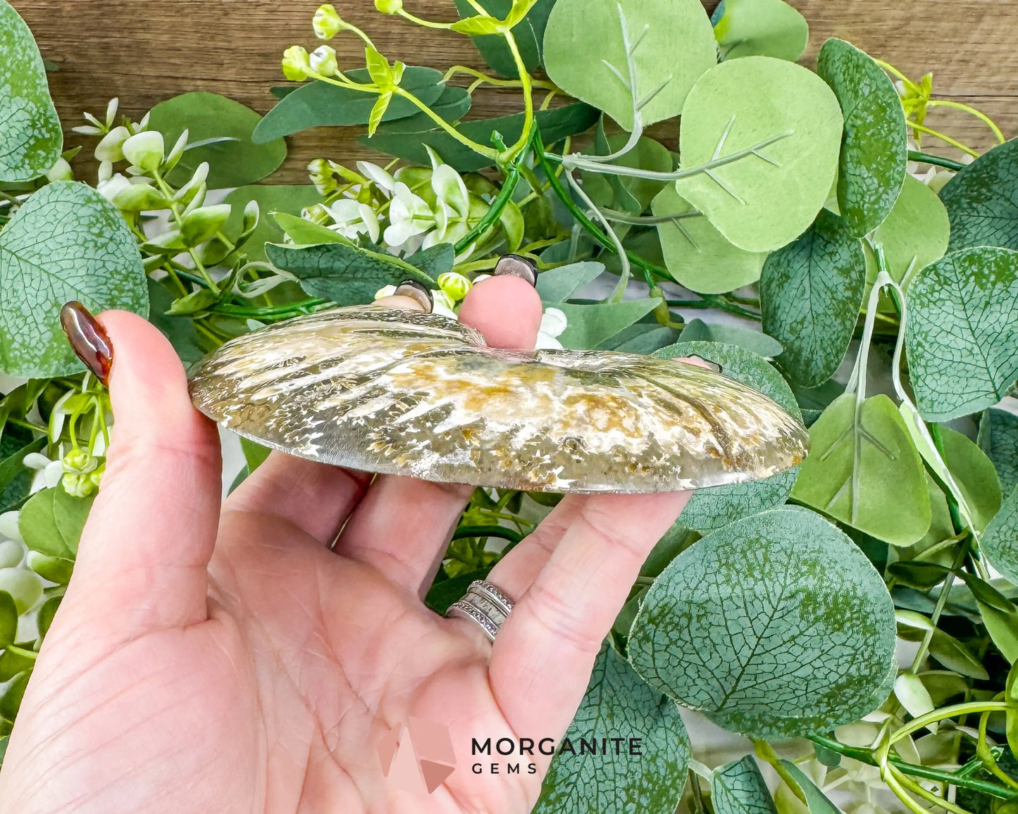 Polished Ammonite Fossil Pair (12oz Total) – 4.4’’ Matched Split Suture Specimen - Fossils