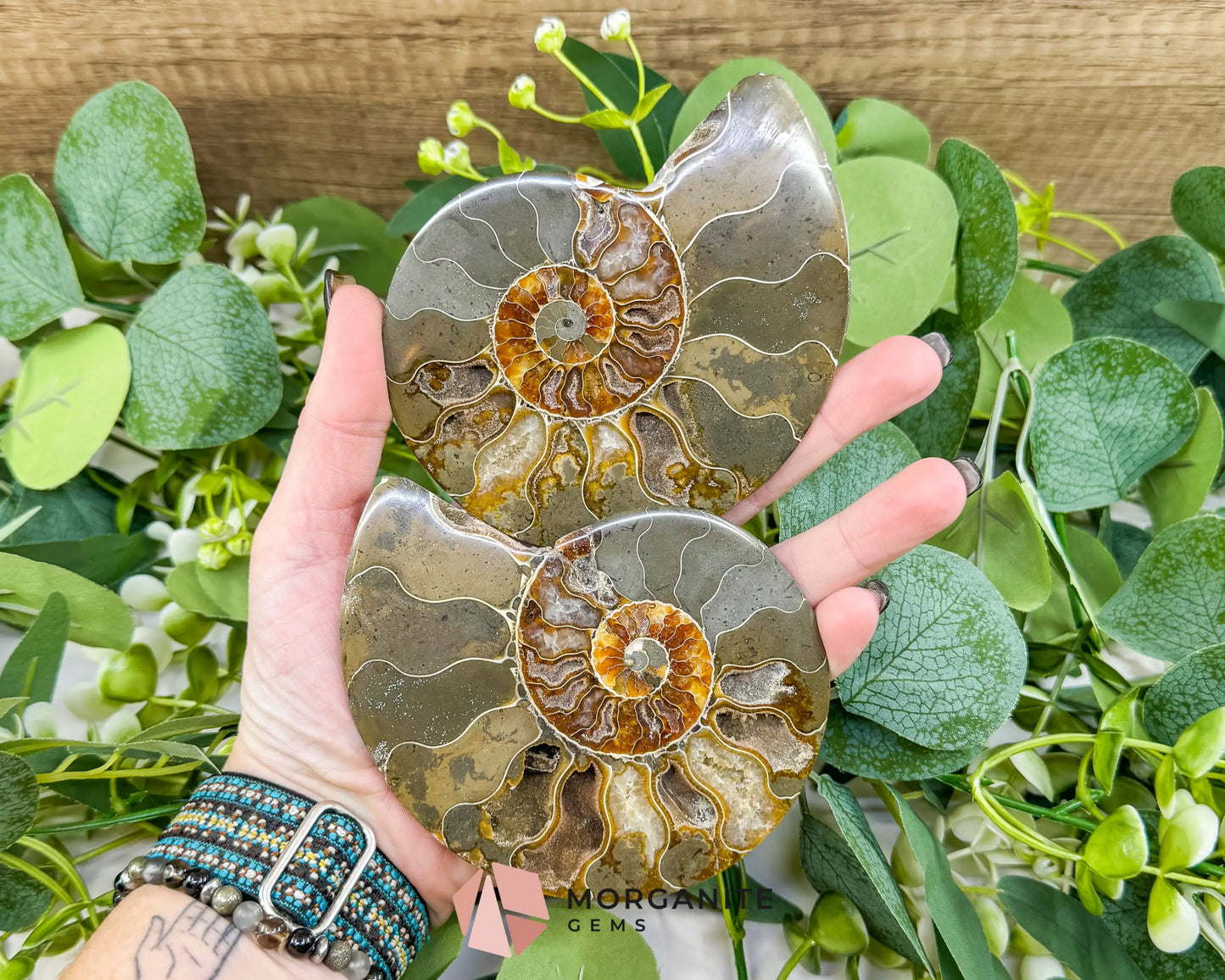 Polished Ammonite Fossil Pair (12oz Total) – 4.4’’ Matched Split Suture Specimen - Fossils Only - Fossils