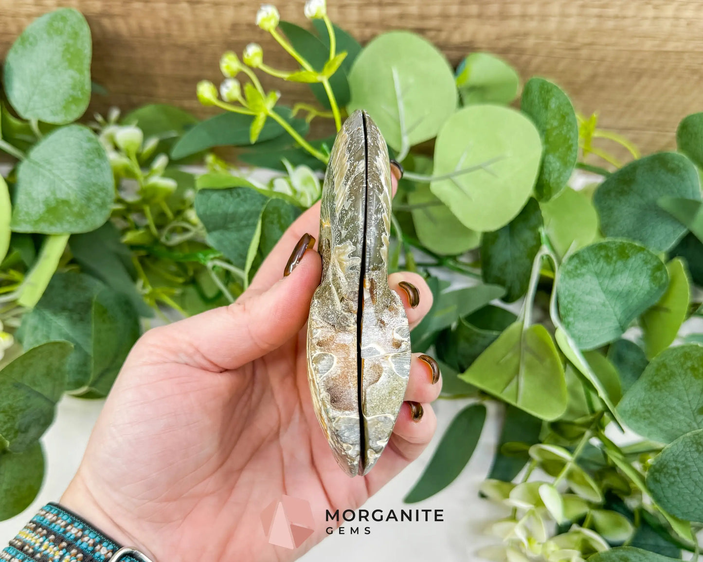 Polished Ammonite Fossil Pair (12oz Total) – 4.4’’ Matched Split Suture Specimen - Fossils