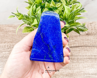 Polished Extra Quality Blue Lapis Lazuli AAA Free forms – Unique Hand-Carved Crystals for Wisdom and Intuition-Morganite Gems