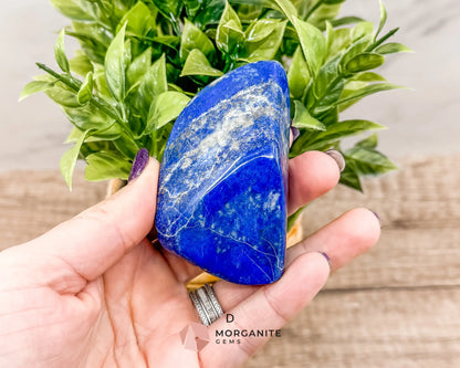 Polished Extra Quality Blue Lapis Lazuli AAA Free forms – Unique Hand-Carved Crystals for Wisdom and Intuition-Morganite Gems