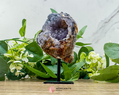 Polished Geode Slice on Metal Stand – Natural Crystal Display for Home & Office - Metaphysical Crystals