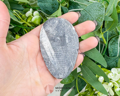 Polished Orthoceras Fossil (3-4’’) – Ancient ’Straight Horn’ Cephalopod Specimen for Grounding & Ancestral Connection