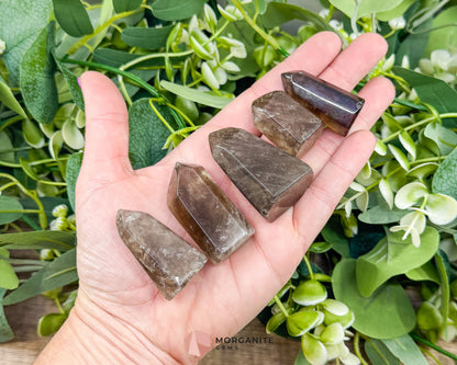 Polished Smoky Quartz Tower (1-2 Inches) – Grounding & Protection Energy Crystal - Metaphysical Crystals