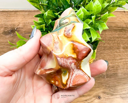 Polychrome Jasper Flame-Morganite Gems