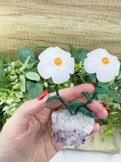 Artisan Double Daisy Flower Crystal Sculpture - White Quartz & Raw Amethyst Base from Brazil