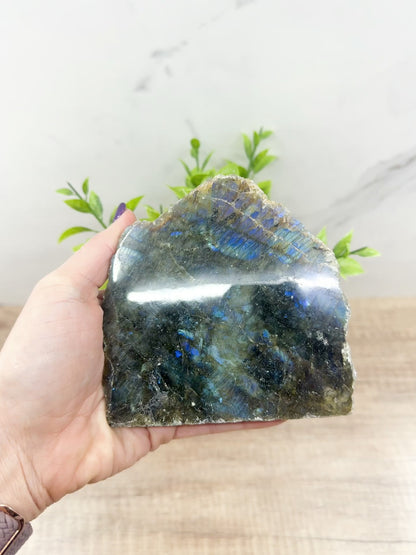 Labradorite One Polish Side Free Form