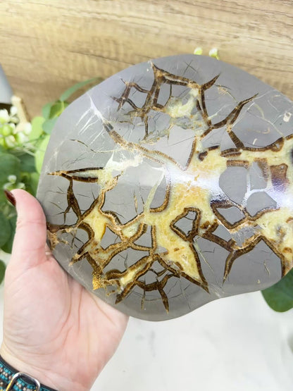 Utah Septarian "Dragon Stone" Geode Slice No. 7 (1.5lb) – 8" Polished Local Specimen for Grounding & Protection