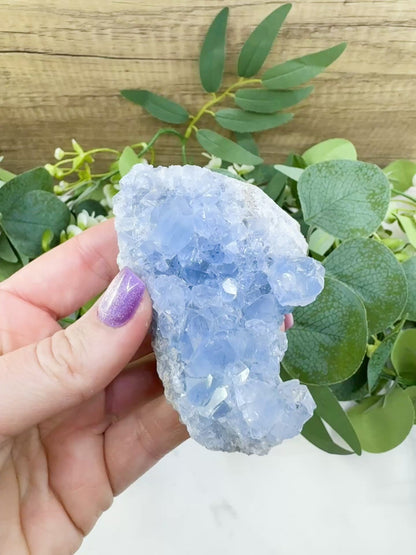 Raw Celestite Cluster No. 12 – Sky Blue Geode Specimen for High Vibration & Inner Peace