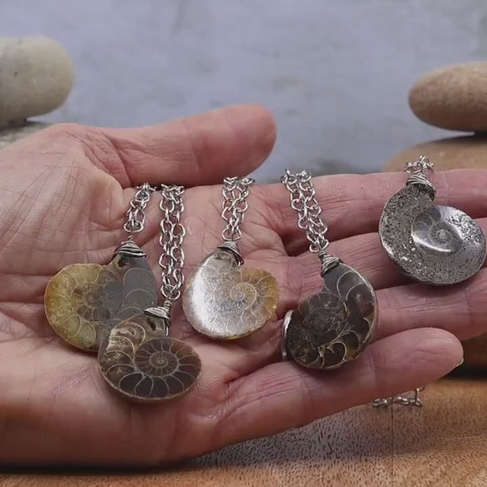 Ammonite Fossil Necklace